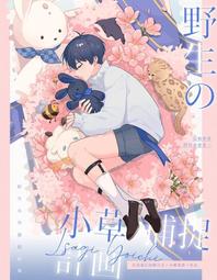 月亮褲 | 寶島日用加量純粹黑中腰吸血內褲_2XL尺寸_安心月經褲_生理褲 歷史價格詳細信息