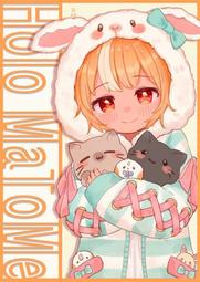 [蜜瓜動漫代購][サクサクメロンパン]Cute Mirage(Hololive)(同人誌) 歷史價格詳細信息