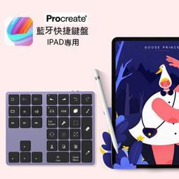 數字小鍵盤無線藍 筆記本電腦有線外接鍵盤靜音辦公便攜迷你快捷 ZB1202 QP1130 歷史價格詳細信息