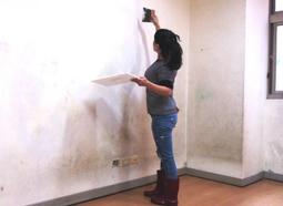 台北市萬華區借址商登+收信每月1500元 歷史價格詳細信息