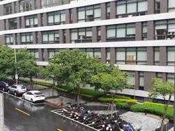 湖遠行AFISH一隻魚吸汗抗菌防臭襪短襪男女士四季短筒襪吸汗透氣 歷史價格詳細信息