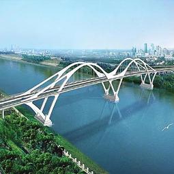 1604日本雙獅大海霸自動機械手表，已經花錢保養，撥針自動走 歷史價格詳細信息