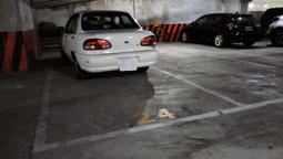 停車位八角車位鎖手動車位佔地鎖免打孔車庫停車場地鎖車位鎖 歷史價格詳細信息