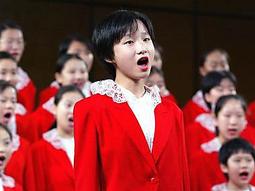 【0800】(499免運)基礎髮圈 細髮圈 彈力髮圈 髮束 髮繩 發圈 韓系髮圈 簡約髮圈 (SR) 歷史價格詳細信息