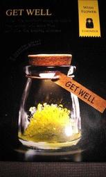 LED許願雪花聖誕樹造型串燈 3米 歷史價格詳細信息