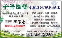千藝直發器直卷兩用直板夾捲髮拉直板拉頭髮電夾板直發棒不傷發 歷史價格詳細信息