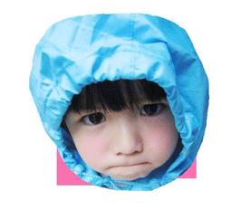 請先問答確認庫存-全新未拆可面交-LEGO 10234 雪梨歌劇院 歷史價格詳細信息