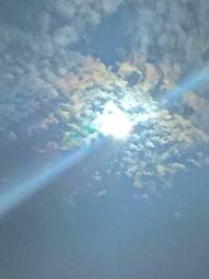 新北-三峽國中 學生 制服 運動服 (夏冬皆有，可單買) 歷史價格詳細信息