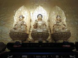 售福田妙國B1樓3樓5樓骨灰位牌位俗賣收購批發價全省塔位買賣託售買貴退錢買賣大福頂福基隆金寶塔永念庭聖城撿骨灰罐禮儀服務 歷史價格詳細信息