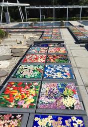 絕品捆拆901刀貨號碼無4帶亂龍號，PMG開標的粉彩濕法紙張5198 歷史價格詳細信息