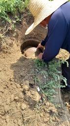 權嘉百加千兆2421sfp 光口百兆poe交換機企業級poe監控交換器 歷史價格詳細信息