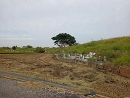 嘉雲寶塔113年歲末法會114年1月18日客人售嘉雲骨灰位夫妻位家族位撿骨骨灰罐百日對年合爐師父誦經全省塔位買賣禮儀服務 歷史價格詳細信息