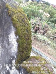 墓園 設計 承造 建造 修理 管理 撿骨 提金進塔 墓地提供 墓地高壓清洗 墓碑字體等從新安金箔 歷史價格詳細信息