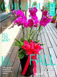 桃園 壽山高中冬季男厚普綿背心 L.XL 歷史價格詳細信息