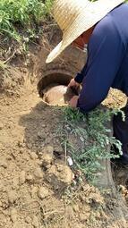 0975585315家中有人往生有參觀過寶塔請不要來問價錢不賣客人售大吉座骨灰位五萬雲嘉南撿骨骨灰罐一萬二禮儀規劃六萬八 歷史價格詳細信息