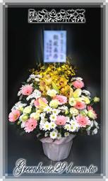 殯儀館骨灰盒包壽壇挎包手提袋隱私登機包遷墳遮陽異地轉運袋 歷史價格詳細信息