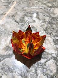 【花蓮壽豐淺草堂】正宗綠皮有機山苦瓜茶飲X2箱(360mlX12瓶/箱) 歷史價格詳細信息