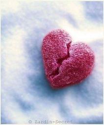 《希望之棲》【現貨】日本進口 開運達摩水琴鈴吊飾 だるま 好運 許願 達摩不倒翁 手機吊飾 掛飾 歷史價格詳細信息