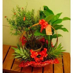 結婚六禮網紅頭繩簡約大氣髮圈韓國女髮飾扎丸子頭球球橡皮筋皮套發繩緞帶飄帶珍珠水晶金屬羽毛墜仙女風【H-041】淺藍色頭花 歷史價格詳細信息