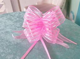 花車犬用零食(隨機出貨)｜A Star/驕傲貓/Bone Plus官方旗 歷史價格詳細信息