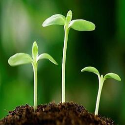 HAFLY 雙節能認證IHBL天井燈 LED白光超亮 工廠/倉儲/挑高場所/體育館 200W 歷史價格詳細信息