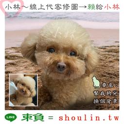 小林線上～代客～修圖～合成～美工～設計～相關服務～ (小林的 賴 = shoulin.tw ) 歷史價格詳細信息