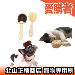 北原山貓 美麗的稻穗  CD專輯 二手 B01 歷史價格詳細信息