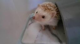 ★限時促銷★全新 拉鍊耳機 金屬耳機 入耳式耳機 拉鍊式 金屬 入耳式 拉鍊 耳機 3.5mm 帶麥克風 低音 7色可選 歷史價格詳細信息