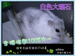 ★限時促銷★全新 拉鍊耳機 金屬耳機 入耳式耳機 拉鍊式 金屬 入耳式 拉鍊 耳機 3.5mm 帶麥克風 低音 7色可選 歷史價格詳細信息