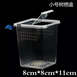 **啾愛爬**透白/透黑 爬蟲飼養盒 塑膠盒 爬缸 蠍子 蜘蛛 蜈蚣 獨角仙 角蛙 守宮 蛇 龜 歷史價格詳細信息