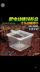 **啾愛爬**透白/透黑 爬蟲飼養盒 塑膠盒 爬缸 蠍子 蜘蛛 蜈蚣 獨角仙 角蛙 守宮 蛇 龜 歷史價格詳細信息