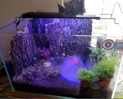 **啾愛爬**透白/透黑 爬蟲飼養盒 塑膠盒 爬缸 蠍子 蜘蛛 蜈蚣 獨角仙 角蛙 守宮 蛇 龜 歷史價格詳細信息