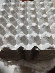 **啾愛爬**透白/透黑 爬蟲飼養盒 塑膠盒 爬缸 蠍子 蜘蛛 蜈蚣 獨角仙 角蛙 守宮 蛇 龜 歷史價格詳細信息