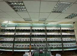 送白帶魚【三頓飯】鮮嫩野生白鯧魚(3尾組_220-280g/尾) 歷史價格詳細信息