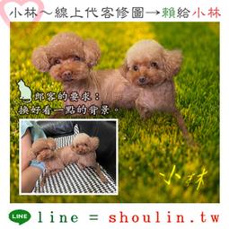 小林線上～代客～修圖～合成～美工～設計～相關服務～ (小林的 賴 = shoulin.tw ) 歷史價格詳細信息