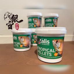 銀宙水族空間/泰國展鬥/高階紅龍pk短尾鬥魚/123391/ 鬥魚 /鬥魚飼料 歷史價格詳細信息