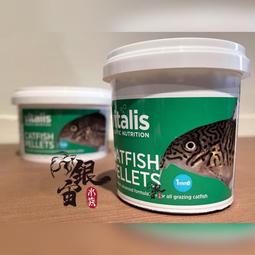 銀宙水族空間/泰國展鬥/高階紅龍pk短尾鬥魚/123391/ 鬥魚 /鬥魚飼料 歷史價格詳細信息