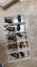 [電池先生] Sony FZ-100相機鋰電池 歷史價格詳細信息