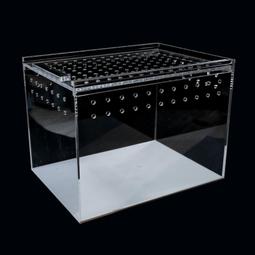 [PAPA甲蟲]甲蟲成蟲攀爬木塊 松木塊 甲蟲飼育 歷史價格詳細信息