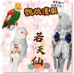 寵物尿布 鳥尿布 鸚鵡尿布 鳥 大型鸚鵡 鳥鳥尿布 鳥屎兜 和尚鸚鵡飛行 灰鸚鵡飛行 歷史價格詳細信息