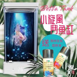 銀宙水族空間/泰國展鬥/高階紅龍pk短尾鬥魚/123391/ 鬥魚 /鬥魚飼料 歷史價格詳細信息