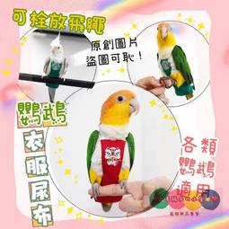 寵物尿布 鳥尿布 鸚鵡尿布 鳥 大型鸚鵡 鳥鳥尿布 鳥屎兜 和尚鸚鵡飛行 灰鸚鵡飛行 歷史價格詳細信息