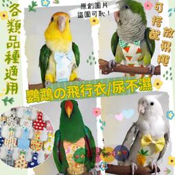 ????公司貨免運????寵物尿布 鳥尿布 鸚鵡尿布 鳥衣服 聖誕保暖鸚鵡衣服 鳥衣服冬天 鳥尿布 鸚鵡用品 保暖鳥衣服 鳥用品 歷史價格詳細信息