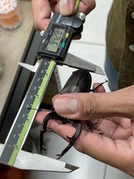 [電池先生] Sony FZ-100相機鋰電池 歷史價格詳細信息