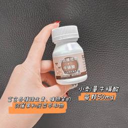 萌寵 貝貝龍 變頻震動 USB充電 電動按摩棒 歷史價格詳細信息