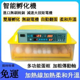 110V孵化機 60滾軸 家用孵化器 孵化箱 雙層孵化機 智能家用型小雞禽鸡鸭家禽全自動孵蛋器g6071 歷史價格詳細信息