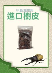 【進口舒適材質 偽娘內裝】cosplay 假陰 CD變裝 假乳 提臀 豐臀 可排尿 可插 高度仿真 人造假陰  矽膠 華 歷史價格詳細信息