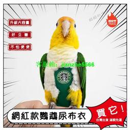 2023新款鸚鵡鳥用尿不濕 鸚鵡 鸚鵡尿布 鳥尿布 鳥 鸚鵡飛行 鸚鵡尿布 玄鳳 鸚鵡屎兜 鳥 歷史價格詳細信息