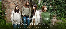 代購 坂井泉水 ZARD 30週年紀念 Remasterd重製盤 30周年YEAR企画！30th 全11盤CD 一挙発売 歷史價格詳細信息