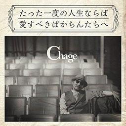 chane*度假遮陽帽蕾絲飄帶禮帽 歷史價格詳細信息